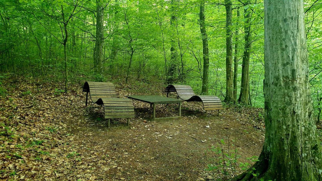 Hillside Garden Apartman Lägenhet Zalakaros Exteriör bild
